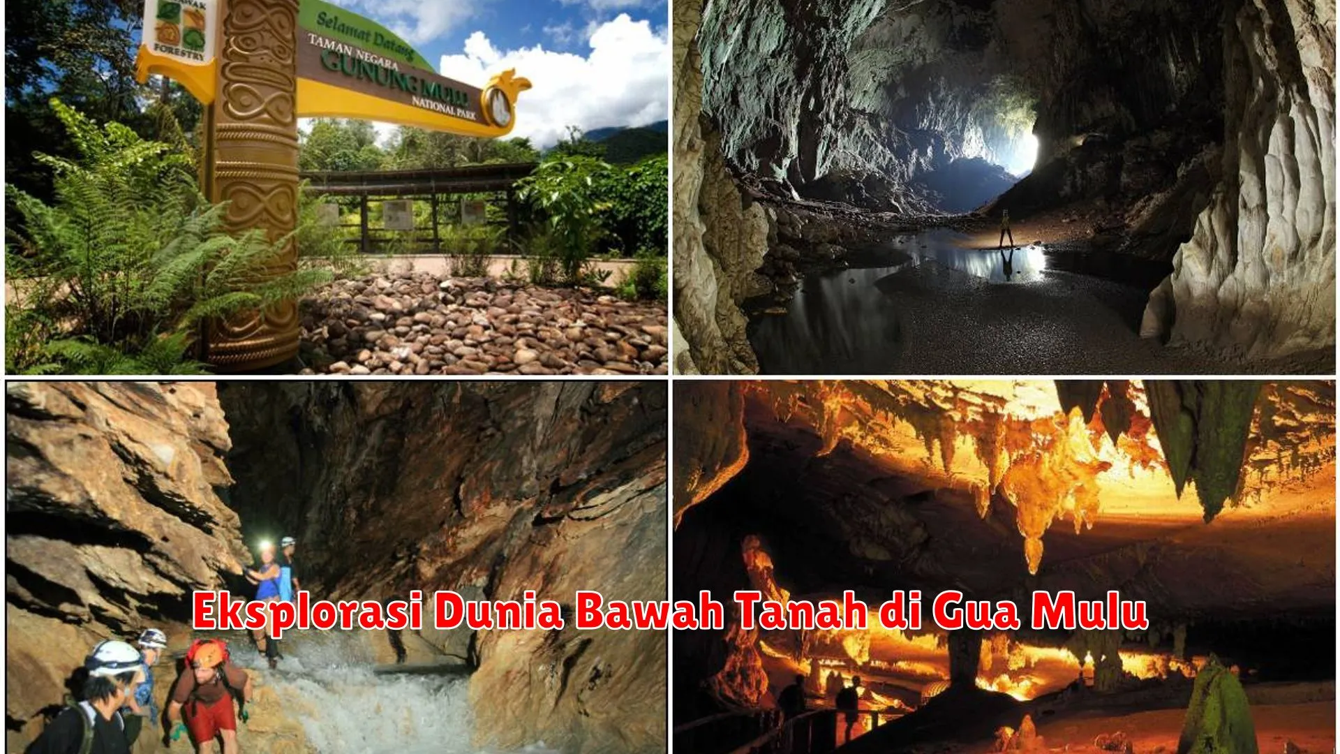 Eksplorasi Dunia Bawah Tanah di Gua Mulu