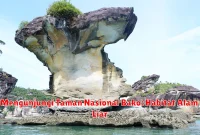 Mengunjungi Taman Nasional Bako: Habitat Alam Liar