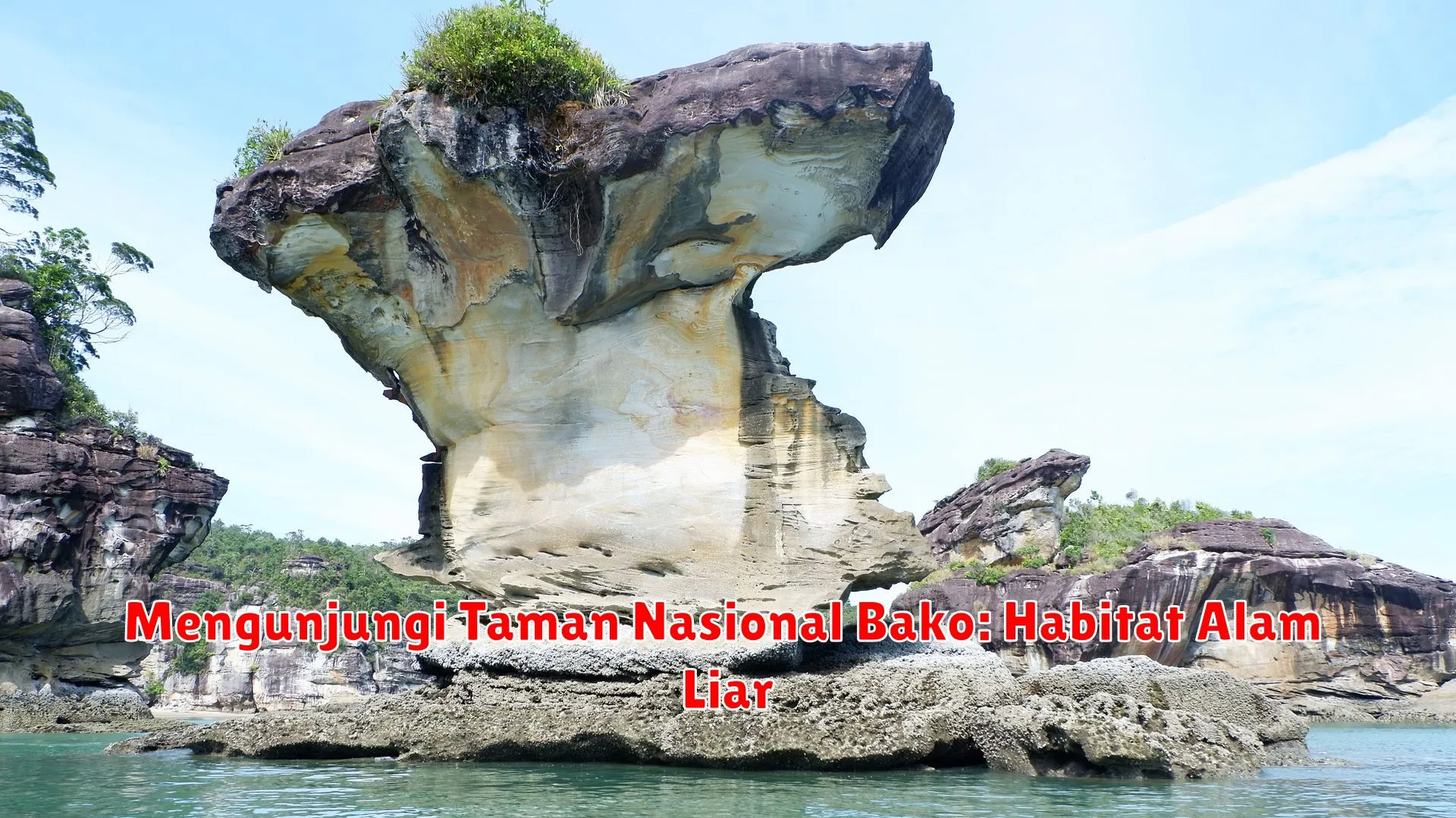 Mengunjungi Taman Nasional Bako: Habitat Alam Liar