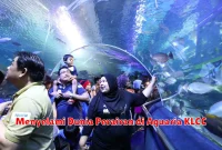 Menyelami Dunia Perairan di Aquaria KLCC
