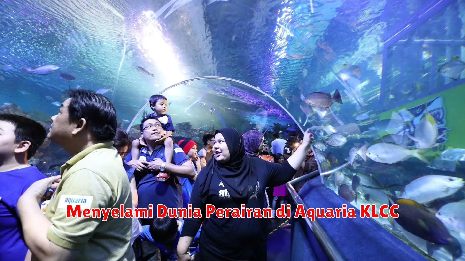Menyelami Dunia Perairan di Aquaria KLCC