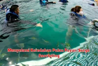 Menyelami Keindahan Pulau Payar: Surga Snorkeling