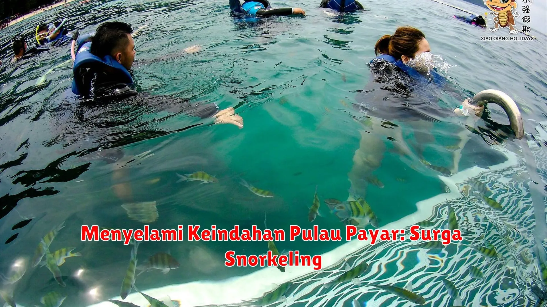 Menyelami Keindahan Pulau Payar: Surga Snorkeling