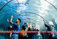 Menyelami Keindahan Underwater World Langkawi