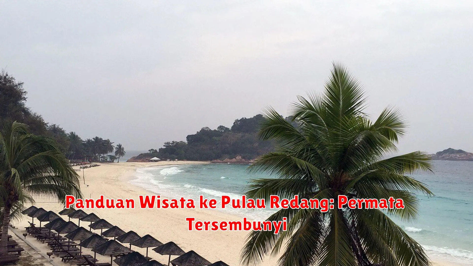 Panduan Wisata ke Pulau Redang: Permata Tersembunyi