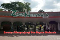 Serunya Mengunjungi Zoo Negara Malaysia
