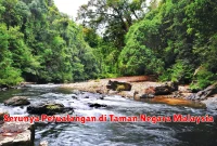 Serunya Petualangan di Taman Negara Malaysia