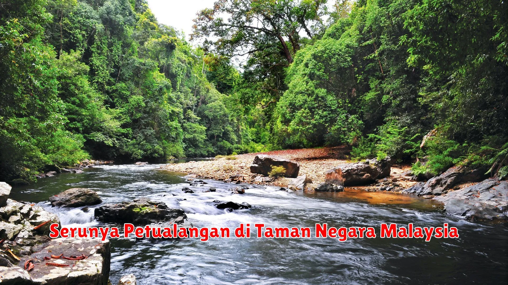Serunya Petualangan di Taman Negara Malaysia